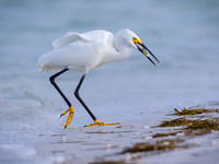 Hauling in his Catch