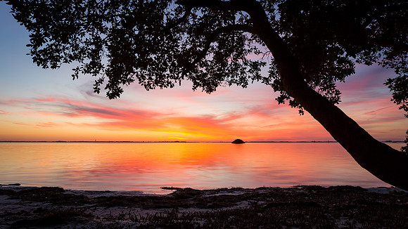 Tampa Bay Sunset  #Best1609