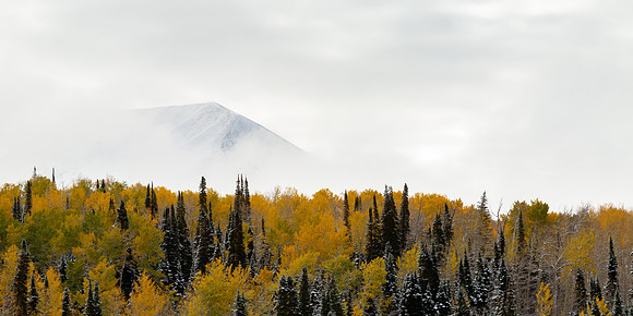 Seasons Collide
