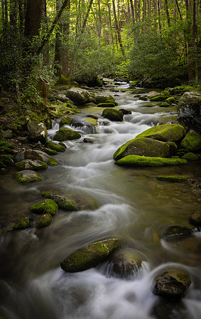 Roaring Fork Flow